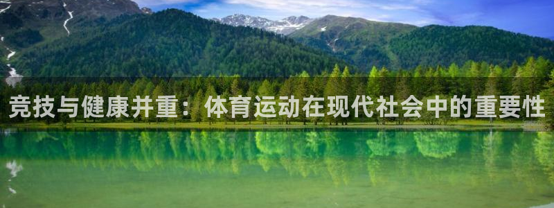 MK体育官方正版app集团logo