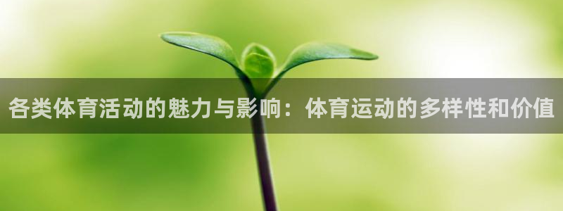 MK体育官方正版app五金厂：各类体育活动的魅力与影