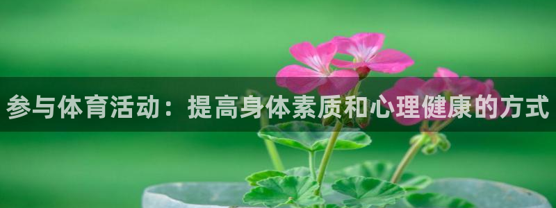MK体育官网下载开户