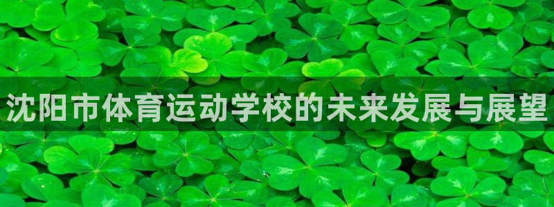 MK体育官方正版app娱乐40996：沈阳市体育运动