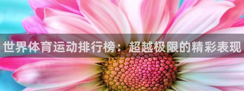 MK体育官方正版app娱乐下载：世界体育运动排行榜：