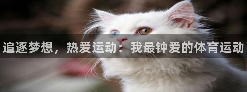 MK体育官方正版app集团官网网址：追逐梦想，热爱运