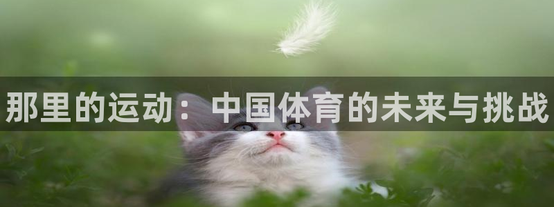 MK体育官网下载平台注册要钱吗：那里的运动：中国体育