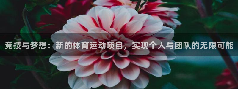 MK体育官网下载招商电话地址是多少：竞技与梦想：新的