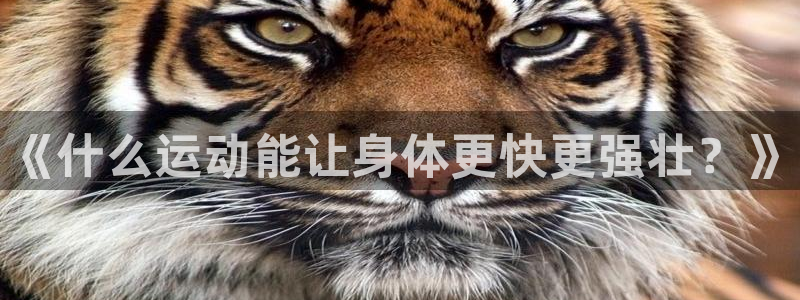 MK体育官方正版app娱乐下载：《什么运动能让身体更