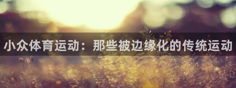 MK体育官网下载招商电话：小众体育运动：那些被边缘化