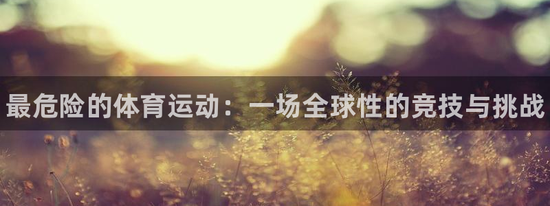 MK体育官网下载是干嘛的公司：最危险的体育运动：一场