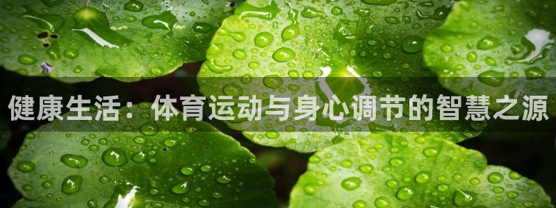 MK体育官方正版app新能源：健康生活：体育运动与身