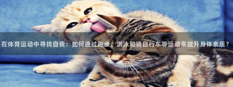 MK体育官方正版app集团：在体育运动中寻找自我：如