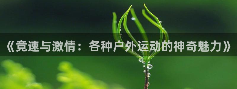 MK体育官方平台体育：《竞速与激情：各种户外运动的神