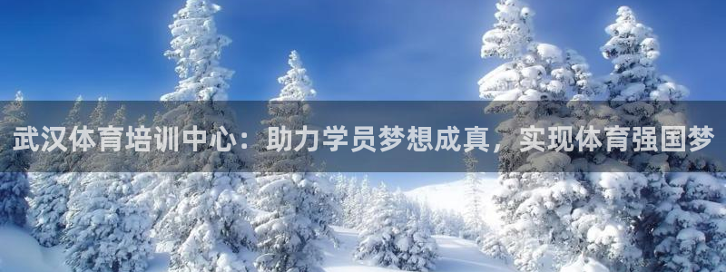 MK体育官方正版app官方：武汉体育培训中心：助力学员梦想成