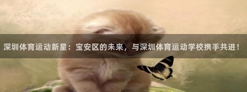 MK体育官方正版app娱乐是那个系列的台子：深圳体育