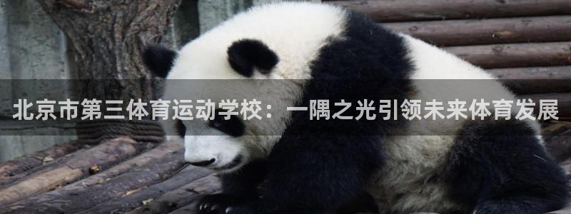 MK体育官方正版app官方：北京市第三体育运动学校：