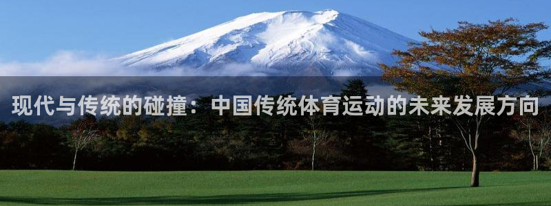 MK体育官方正版app集团官网网址