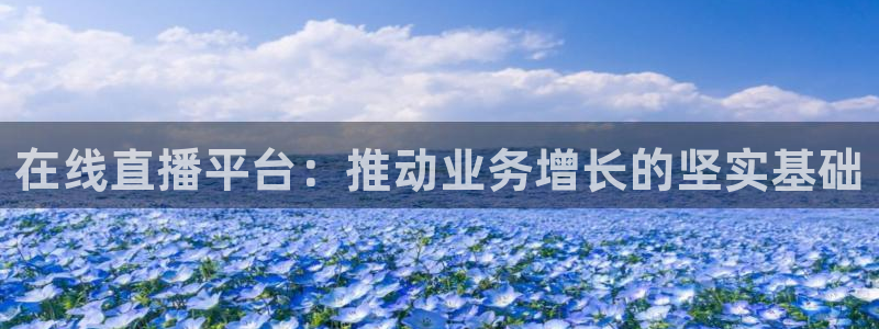 松鼠体育在线直播视频：在线直播平台：推动业务增长的坚实基础