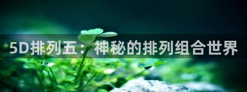 松鼠体育：5D排列五：神秘的排列组合世界