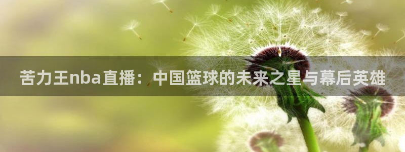 松鼠看球直播：苦力王nba直播：中国篮球的未来之星与幕后英雄