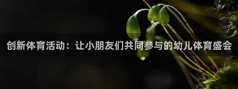MK体育手机版打开即玩官方直营231