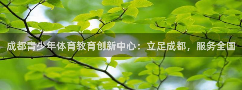  MK体育官网入口app下载安装：成都青少年体育教育创新中心：