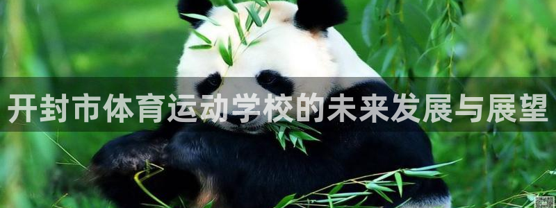 mk体育平台网页版入口：开封市体育运