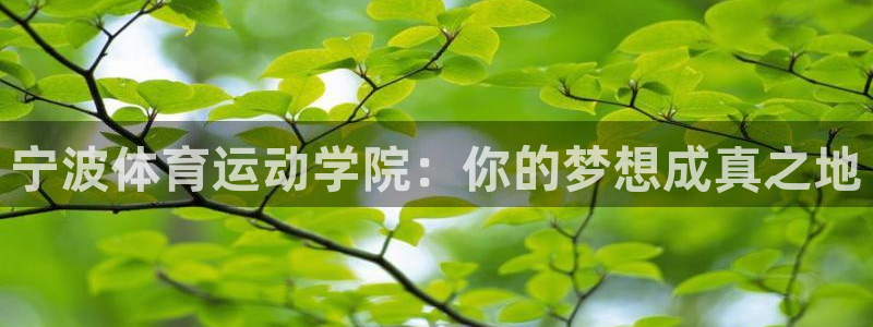 mk体育平台怎么样知乎：宁波体育运动