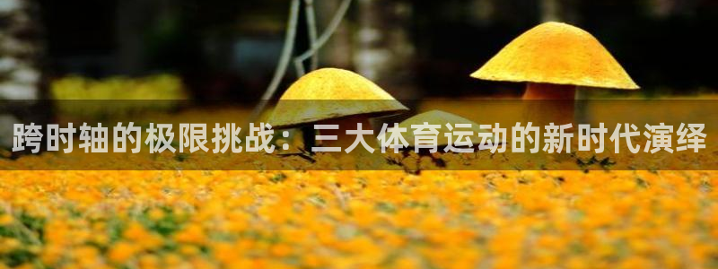 mk体育提现多久到账啊安全吗知乎文章：跨时轴的极限挑战：三大