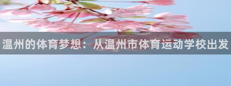 MK体育官网下载平台是正规平台吗：温州的体育梦想：从温州市体