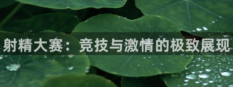 MK体育官方正版app娱乐40996：射精大赛：竞技与激情的