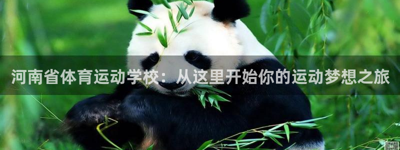 MK体育官方正版app科技：河南省体育运动学校：从这里开始你