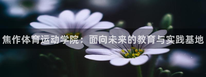 MK体育官网下载平台注册要钱吗是真的吗:焦作体育运动学院:面
