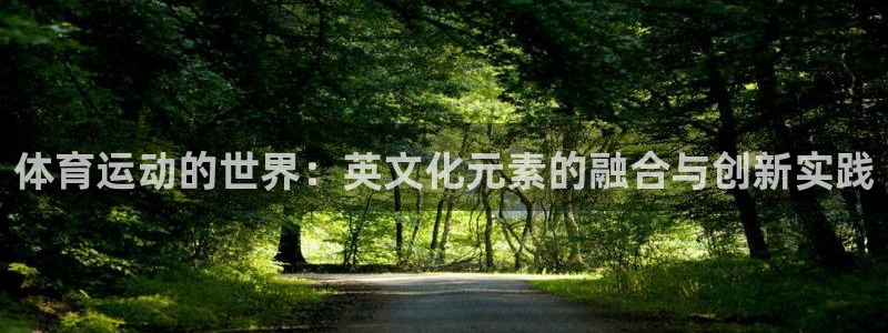 海南MK体育官网下载：体育运动的世界：英文化元素的融合与创新