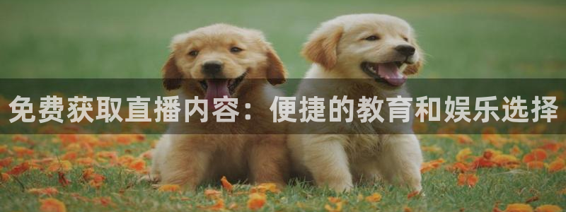 松鼠官方网站