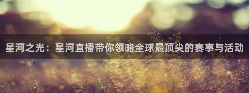 松鼠直播体育免费