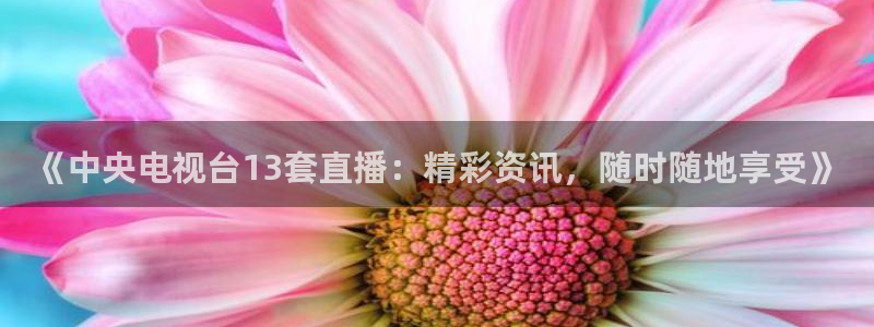 松鼠直播体育免费：《中央电视台13套直播：精彩资讯，随时随地享受》