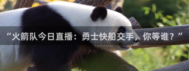松鼠体育在线直播视频：“火箭队今日直播：勇士快船交手，你等谁？”