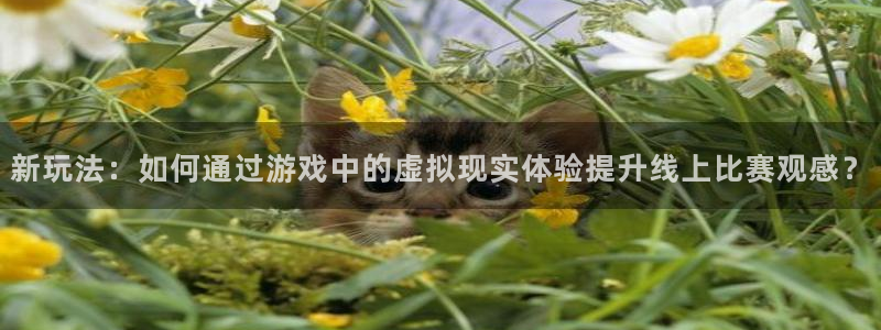 松鼠宝贝体育：新玩法：如何通过游戏中的虚拟现实体验提升线上比赛观感？