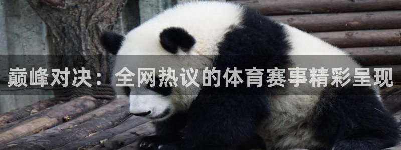 松鼠客户端：巅峰对决：全网热议的体育赛事精彩呈现