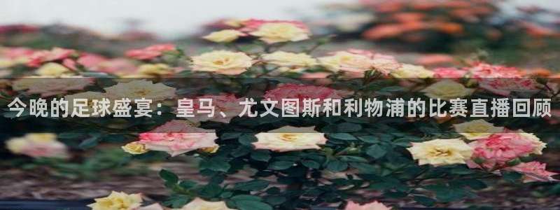 松鼠直播体育：今晚的足球盛宴：皇马、尤文图斯和利物浦的比赛直播回顾