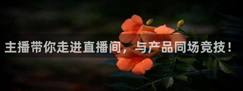 松鼠直播体育：主播带你走进直播间，与产品同场竞技！